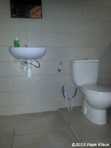Toilet with bidet