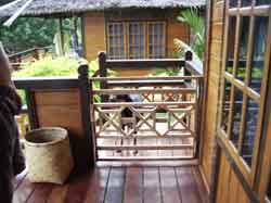 No access for dogs
