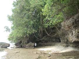 Rocky East Coast of Bunaken