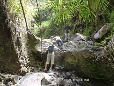 Climbing
