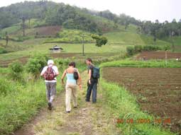 On the way to the volcano Mahawu