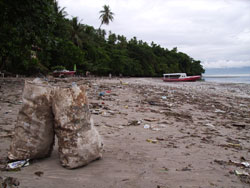 Garbage on the beach after heavy rain