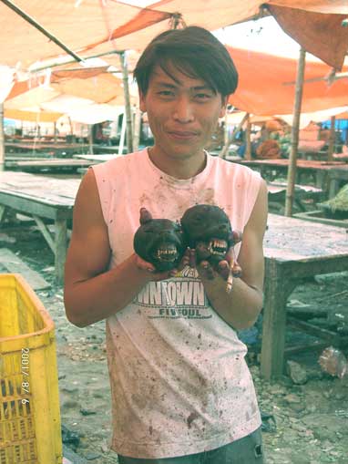Dog's heads for sale at the market of Tomohon